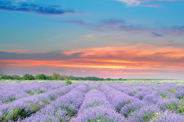 Similar image 12996161