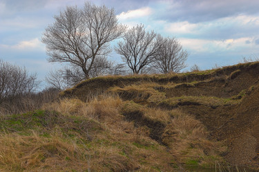 Similar image 12997131