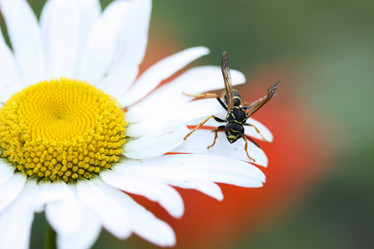 Similar image 12997140