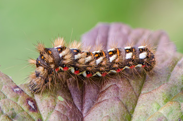 Similar image 12996131