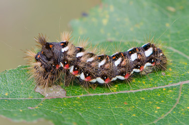 Similar image 12996132