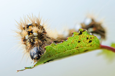 Similar image 12996134