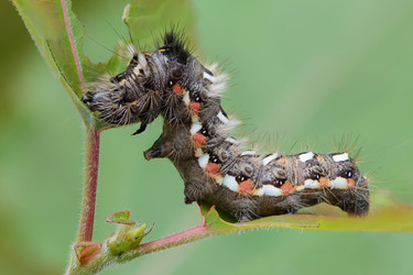 Similar image 12996136