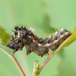 Similar image 12996137