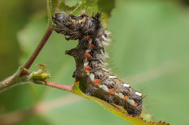 Similar image 12996138