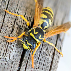 Similar image 12996142