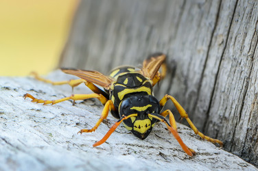 Similar image 12996143