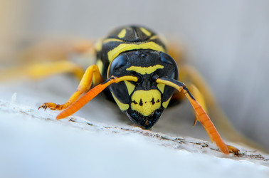 Similar image 12996145