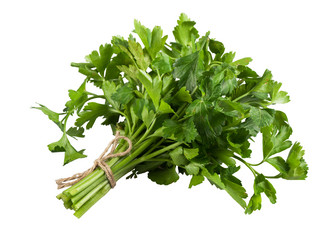 Similar image 12995520