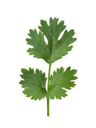 Similar image 12995528