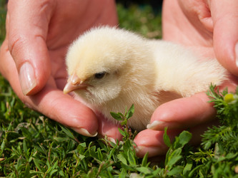 Similar image 12995529