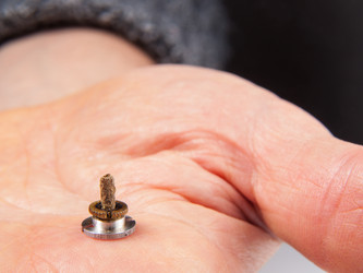 Similar image 12995549