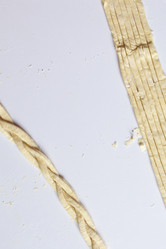 Similar image 12995856