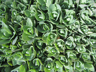 Similar image 12997113