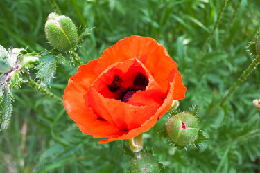 Similar image 12995266