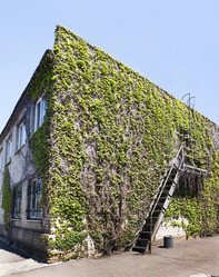 Similar image 12995268