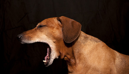 Similar image 12995271