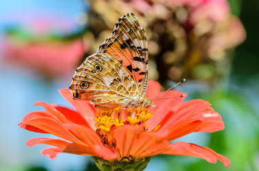 Similar image 12996192