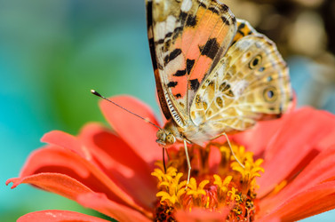 Similar image 12996193