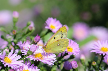 Similar image 12996194