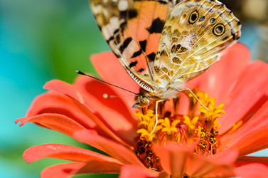 Similar image 12996195