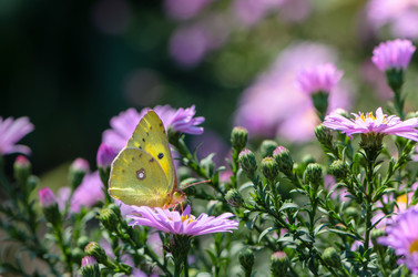 Similar image 12996196