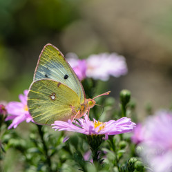 Similar image 12996199