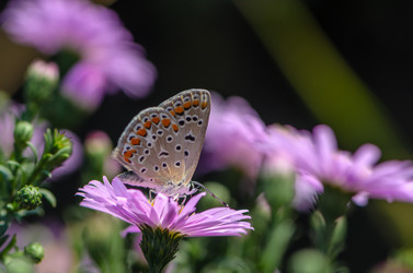 Similar image 12996201