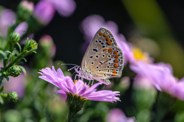 Similar image 12996202