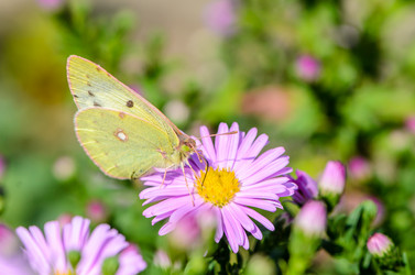 Similar image 12996203