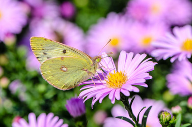 Similar image 12996205