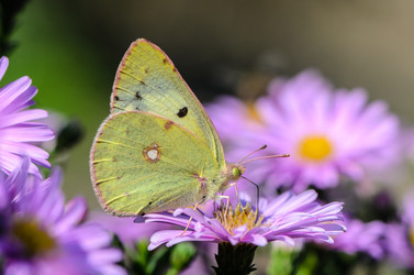 Similar image 12996208