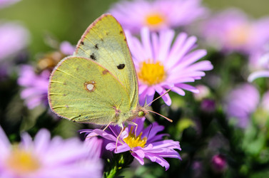 Similar image 12996210