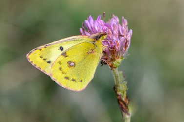 Similar image 12996211