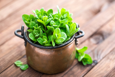 Similar image 12996322