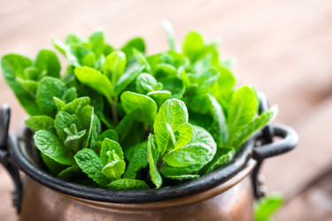 Similar image 12996326