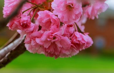 Similar image 13000483