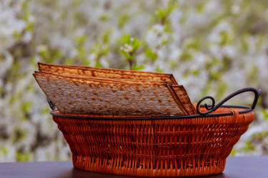 Similar image 13000515