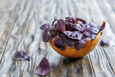 Similar image 12998897