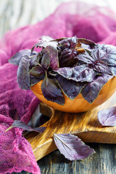 Similar image 12999344