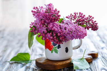 Similar image 12998978