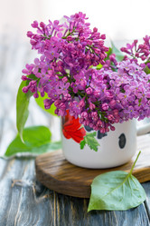 Similar image 12998979