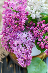 Similar image 12998980