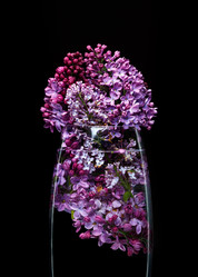 Similar image 12996167