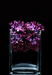 Similar image 12996168