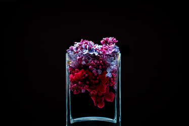 Similar image 12996169