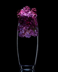 Similar image 12996172