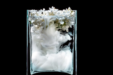 Similar image 12996175