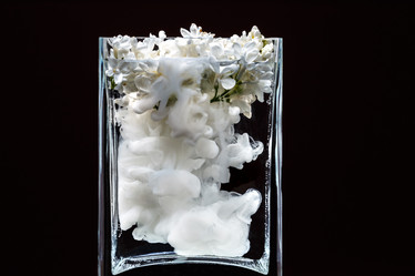 Similar image 12996176