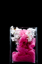 Similar image 12996177